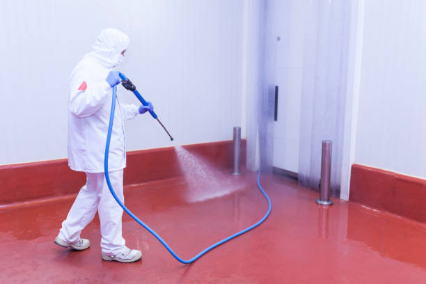 Best Roof Washing  in Jackson, MS