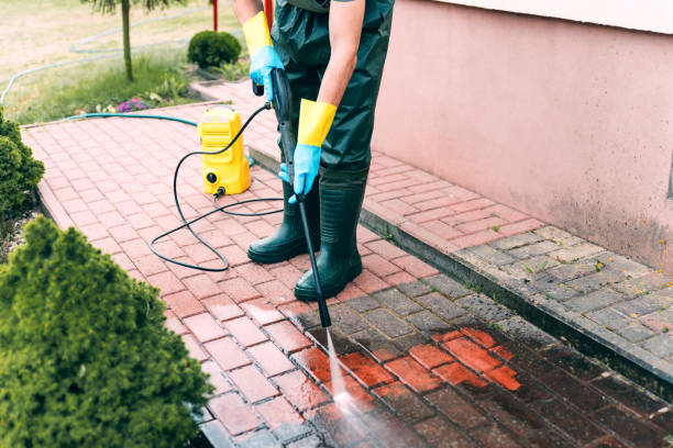 Best Building Exterior Washing  in Jackson, MS